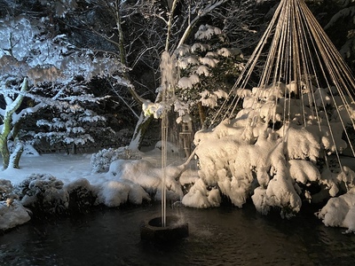 兼六園ライトアップ冬の段　噴水のライトアップ風景
