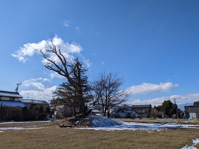 雪の井川城