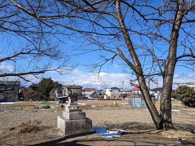 雪の井川城