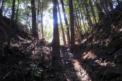 鳥羽山城 堀切