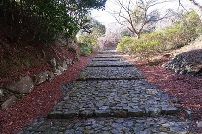 鳥羽山城 大手道