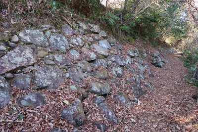 鳥羽山城 本丸東の石垣