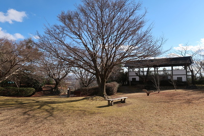 鳥羽山城 本丸風景