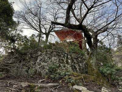 下から見上げた多宝塔と石垣