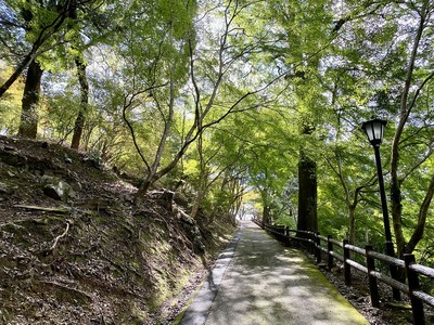 尾関山公園遊歩道