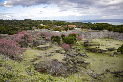 城址から寒緋桜と沖縄の海