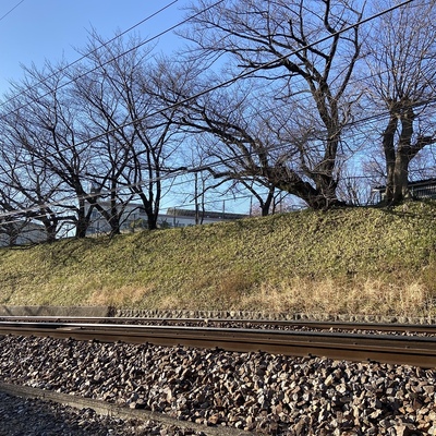 笠寺小学校