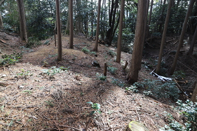 出曲輪下の畝状竪堀