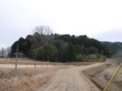 西側より城址全景