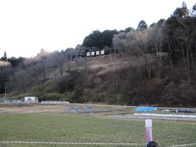 亀山城遠景