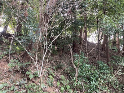 土塁（神社参集所前）