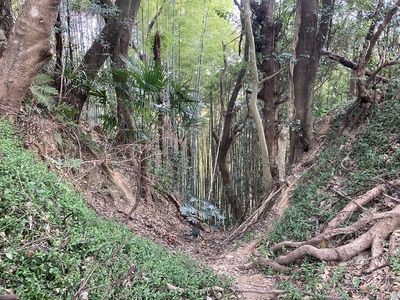 空堀跡（二号掘？）