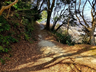 堀切と土橋