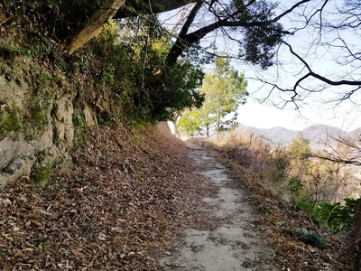 本丸登城路