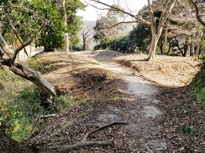 土橋と堀切