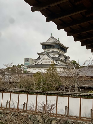 庭園から眺める天守