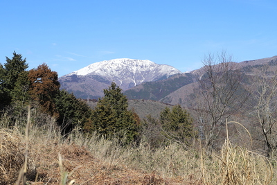 山頂手前からの伊吹山