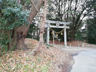 東側鳥居脇の土塁