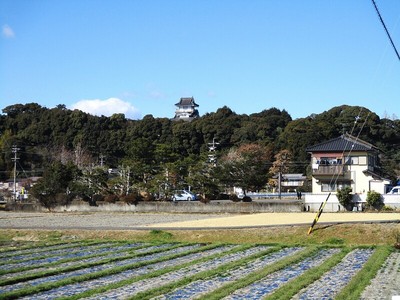 模擬天守遠景