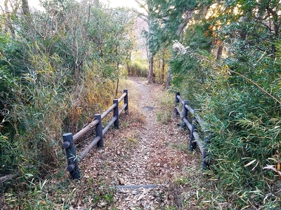 土橋と空堀