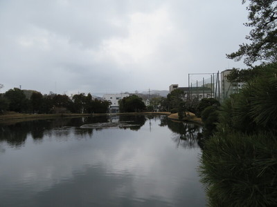 旧津山藩別邸庭園（衆楽園）から津山城