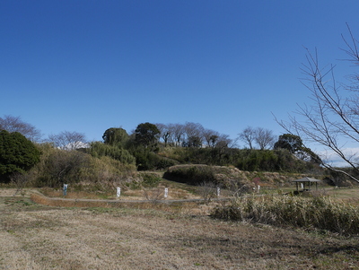 西の丸からの城址風景