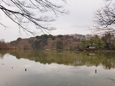 城址遠景