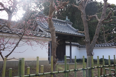 梅の季節の水戸城