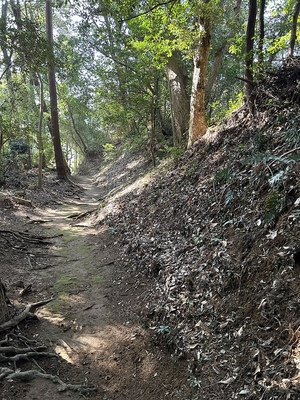 側高神社登城路