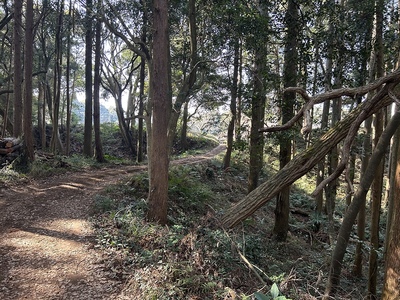 仲々城と奥仲城をつなぐ土橋