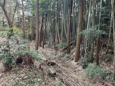 主郭奥の空堀