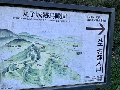 丸子城鳥瞰図