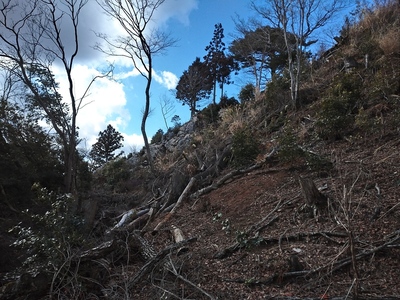 本丸の切岸