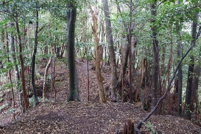 殿山遺構堀切３