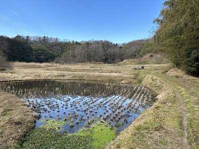 万松寺谷戸から小野路城山を望む