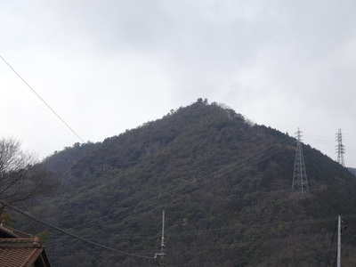 城跡遠景