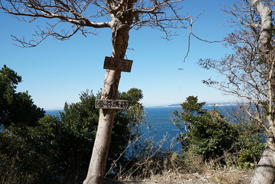 主郭から三浦半島を