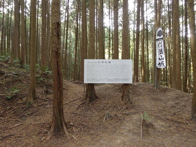 案内板と城跡風景