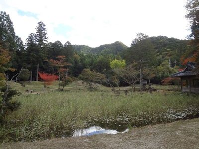 池泉回遊式庭園