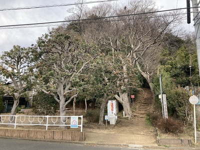 大庭城　南側入り口から見上げる