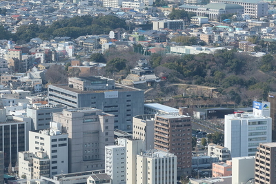 浜松城遠景