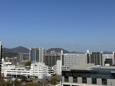 広島城天守から見た城がある武田山