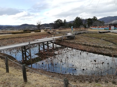 三の丸から見た本丸