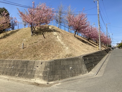 村岡城　高低差が分かるところ