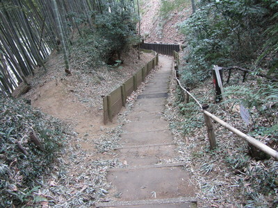 城跡の土塁、空堀を確認