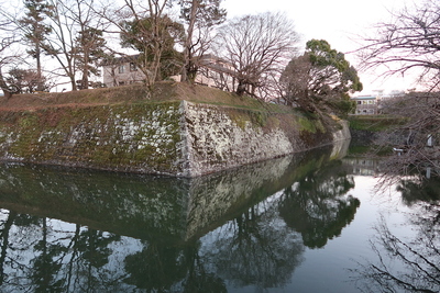 堀と石垣・土塁