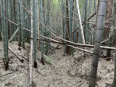 主郭に至る虎口と土橋