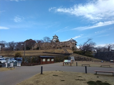 浜松城遠景