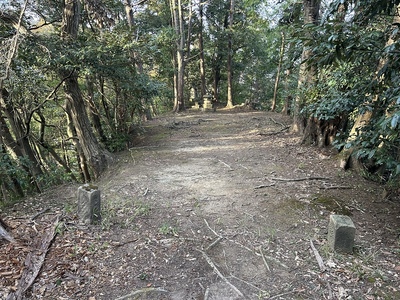 稲荷・金平祠