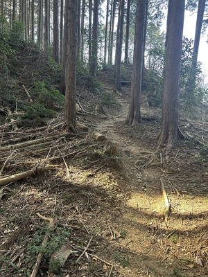 主郭東側の虎口